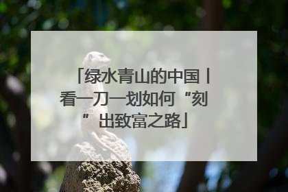 绿水青山的中国丨看一刀一划如何“刻”出致富之路