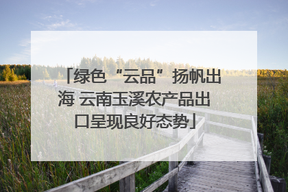 绿色“云品”扬帆出海 云南玉溪农产品出口呈现良好态势