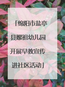 绵阳市盐亭县嫘祖幼儿园开展早教宣传进社区活动