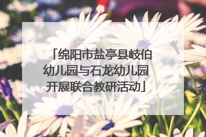 绵阳市盐亭县岐伯幼儿园与石龙幼儿园开展联合教研活动