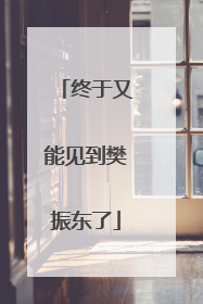 终于又能见到樊振东了