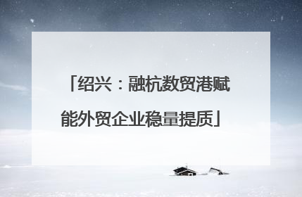 绍兴：融杭数贸港赋能外贸企业稳量提质