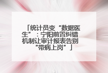 统计员变“数据医生”：宁阳前置纠错机制让审计报表告别“带病上岗”