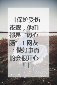 保护受伤夜鹭，他们都是“热心肠”！网友：做好事真的会很开心！