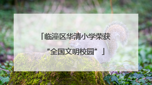 临潼区华清小学荣获“全国文明校园”