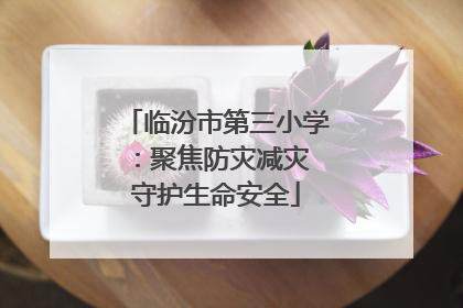 临汾市第三小学：聚焦防灾减灾 守护生命安全