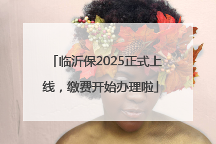 临沂保2025正式上线，缴费开始办理啦