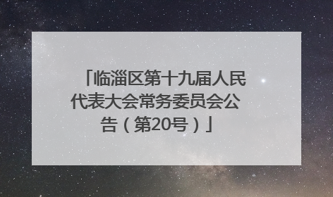 临淄区第十九届人民代表大会常务委员会公告（第20号）