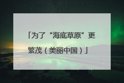 为了“海底草原”更繁茂（美丽中国）