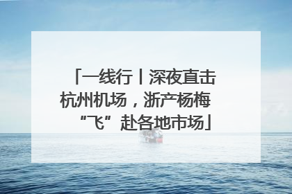 一线行丨深夜直击杭州机场，浙产杨梅“飞”赴各地市场
