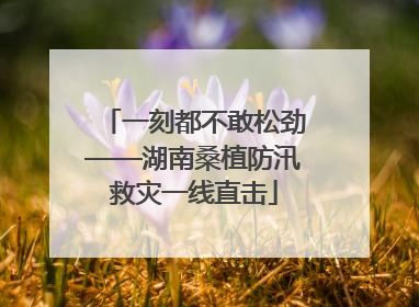 一刻都不敢松劲——湖南桑植防汛救灾一线直击