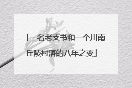 一名老支书和一个川南丘陵村落的八年之变
