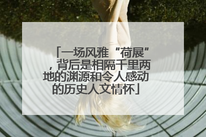 一场风雅“荷展”，背后是相隔千里两地的渊源和令人感动的历史人文情怀