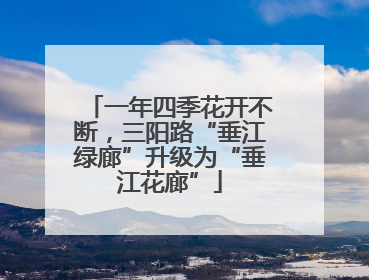 一年四季花开不断，三阳路“垂江绿廊”升级为“垂江花廊”