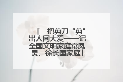 一把剪刀“剪”出人间大爱——记全国文明家庭常凤灵、徐长国家庭