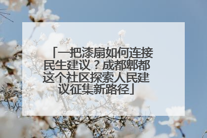 一把漆扇如何连接民生建议？成都郫都这个社区探索人民建议征集新路径