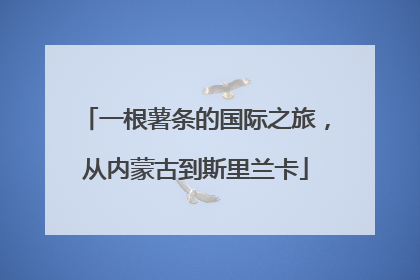一根薯条的国际之旅，从内蒙古到斯里兰卡