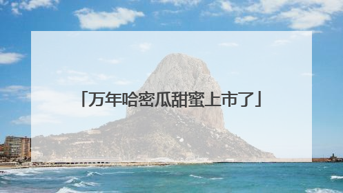 万年哈密瓜甜蜜上市了