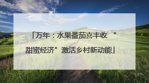 万年：水果番茄喜丰收 “甜蜜经济”激活乡村新动能
