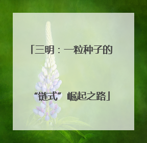 三明：一粒种子的“链式”崛起之路