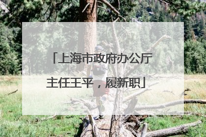 上海市政府办公厅主任王平，履新职