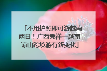 不用护照即可游越南两日！广西凭祥—越南谅山跨境游有新变化
