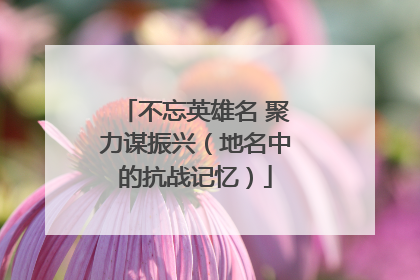 不忘英雄名 聚力谋振兴（地名中的抗战记忆）