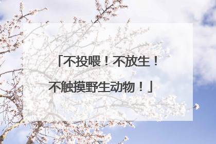 不投喂！不放生！不触摸野生动物！
