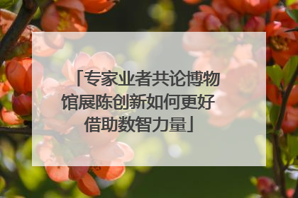 专家业者共论博物馆展陈创新如何更好借助数智力量