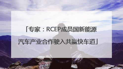 专家：RCEP成员国新能源汽车产业合作驶入共赢快车道