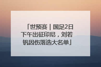 世预赛｜国足2日下午出征印尼，刘若钒因伤落选大名单