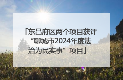 东昌府区两个项目获评“聊城市2024年度法治为民实事”项目