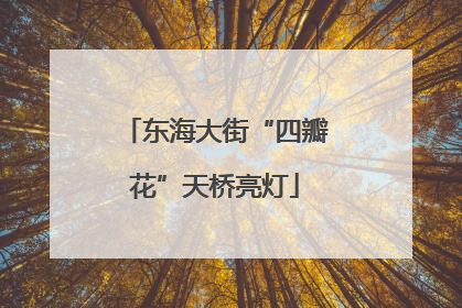 东海大街“四瓣花”天桥亮灯