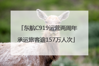 东航C919运营两周年承运旅客逾157万人次