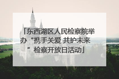 东西湖区人民检察院举办“携手关爱 共护未来”检察开放日活动