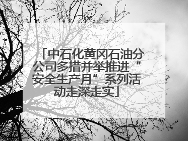 中石化黄冈石油分公司多措并举推进“安全生产月”系列活动走深走实
