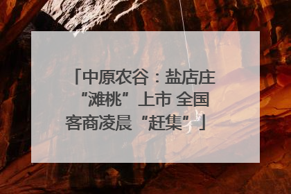 中原农谷：盐店庄“滩桃”上市 全国客商凌晨“赶集”