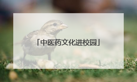 中医药文化进校园