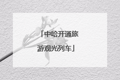 中哈开通旅游观光列车