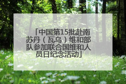 中国第15批赴南苏丹（瓦乌）维和部队参加联合国维和人员日纪念活动