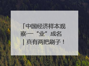 中国经济样本观察·一“业”成名｜真有两把刷子！“刷”出30亿级“颜值经济”