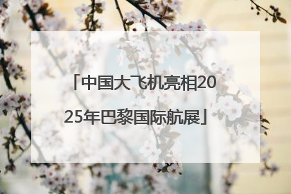 中国大飞机亮相2025年巴黎国际航展