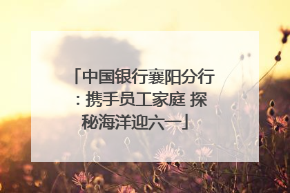 中国银行襄阳分行：携手员工家庭 探秘海洋迎六一