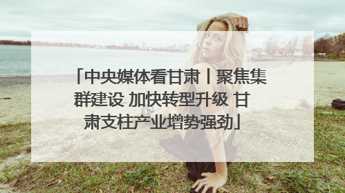 中央媒体看甘肃丨聚焦集群建设 加快转型升级 甘肃支柱产业增势强劲