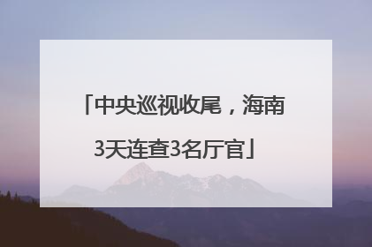 中央巡视收尾，海南3天连查3名厅官