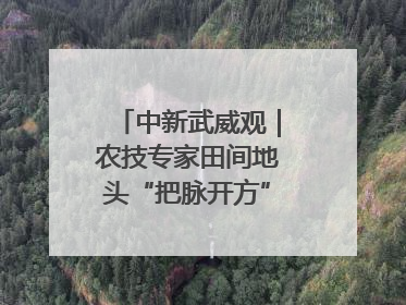 中新武威观｜农技专家田间地头“把脉开方”送“及时雨”