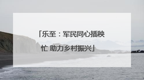 乐至：军民同心插秧忙 助力乡村振兴