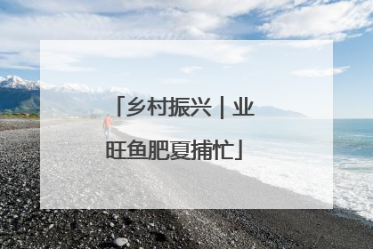 乡村振兴｜业旺鱼肥夏捕忙