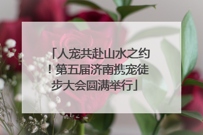 人宠共赴山水之约！第五届济南携宠徒步大会圆满举行