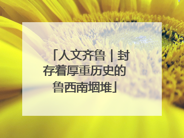 人文齐鲁｜封存着厚重历史的鲁西南堌堆
